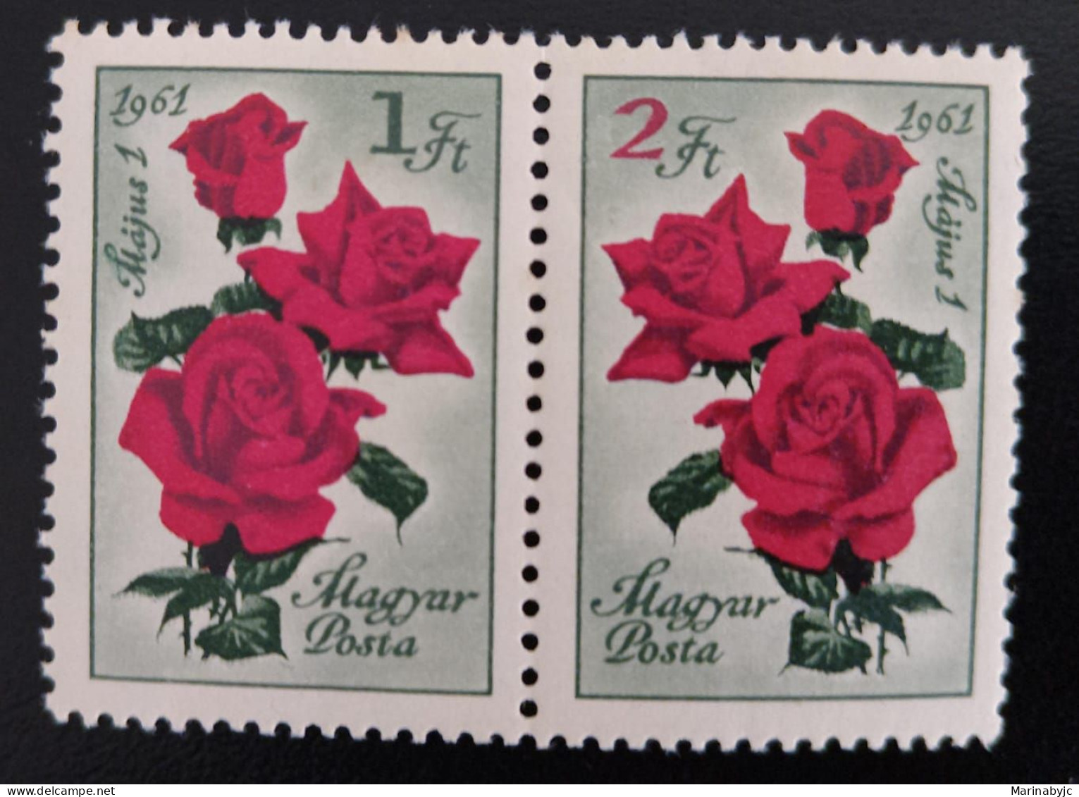 SD)1961. HUNGARY. FLOWERS. ROSES. MNH. - Sammlungen