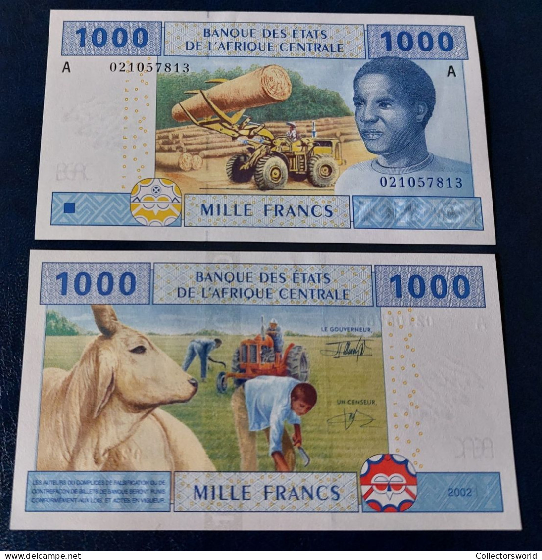 Central African States CAS A (Gabon) 1000 Francs P407A Year 2002 UNC - Gabun