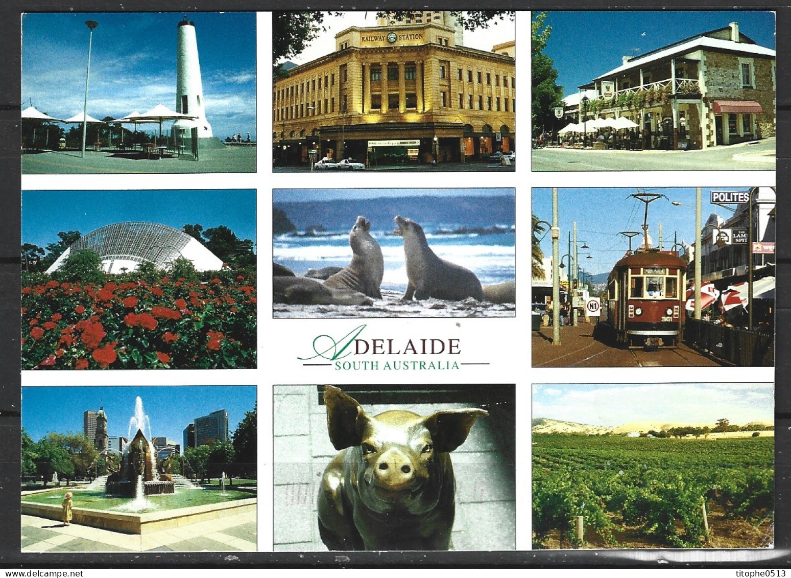 AUSTRALIE. Carte Postale écrite. Adelaide. - Adelaide