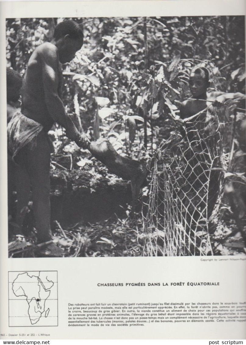 Photo  -  Reproduction -  Chasseurs Pygmées - Afrika