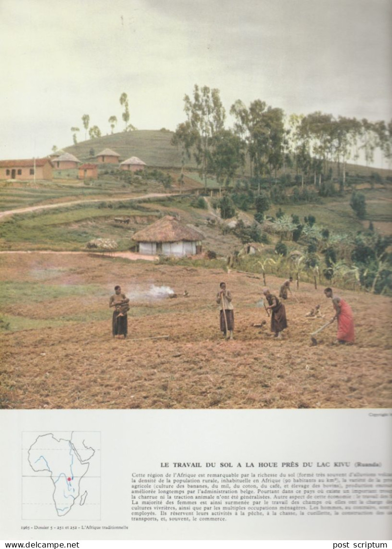 Photo  -  Reproduction -  Afrique - Rwanda - Le Travail Du Sol à La Houe Près Du Lac Kivu - Afrika