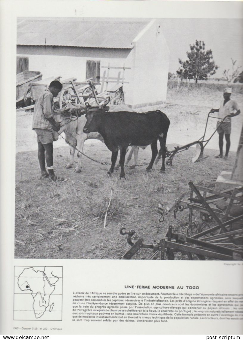 Photo  -  Reproduction -  Afrique - Togo - Une Ferme - Africa