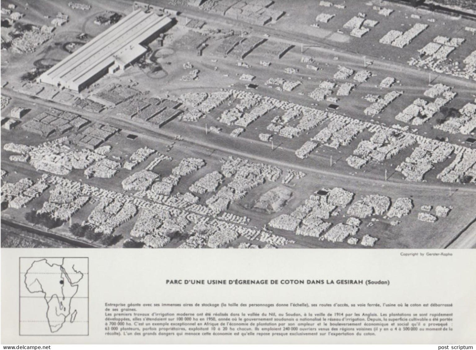 Photo  -  Reproduction -  Afrique - Soudan - Parc D'une Usine D'égrenage De Coton Dans La Gesirah - Africa