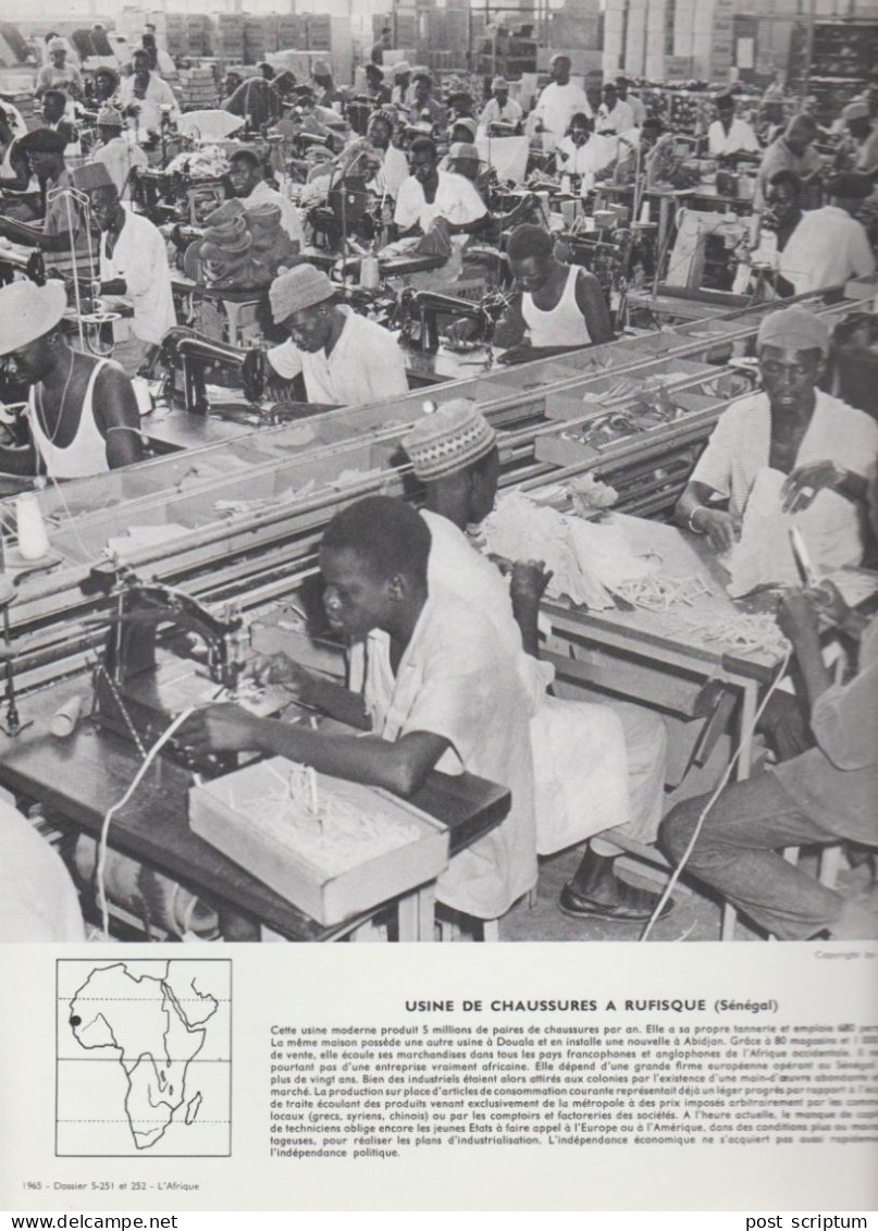 Photo  -  Reproduction -  Afrique - Sénégal - Usine De Chaussures à Rufisque - Afrika