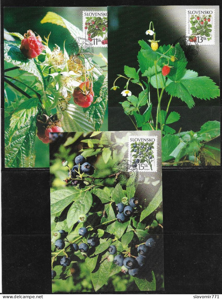 Slovakia   Carte Maximum   RARE 2000 **  Nature Conservation - Forest Fruits 3 Cartes   **  Slowakei - Brieven En Documenten