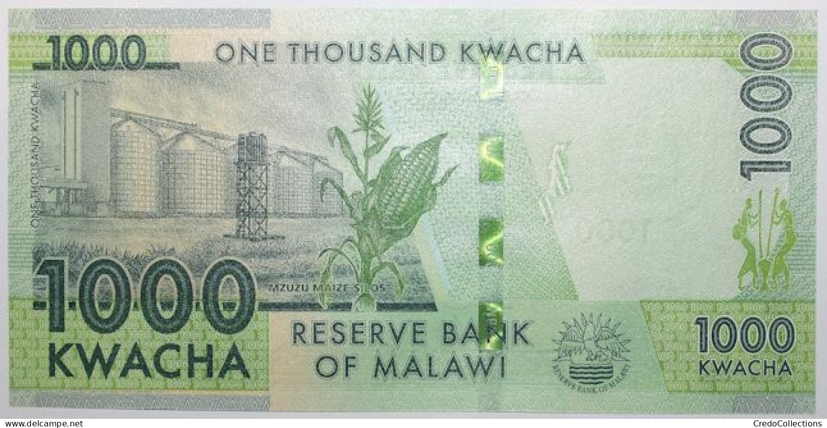 Malawi - 1000 Kwacha - 2021 - PICK 67e - NEUF - Malawi