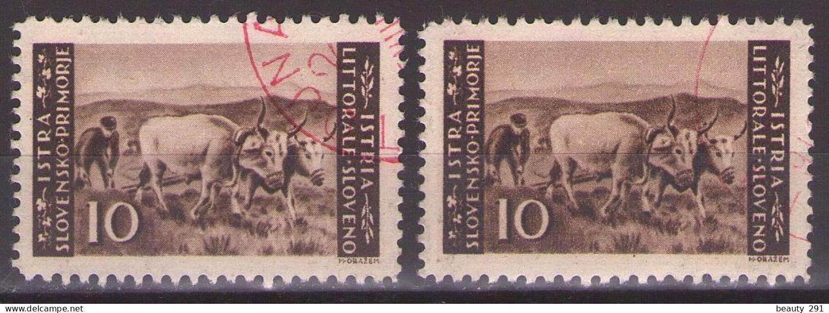ISTRIA E LITORALE SLOVENO 1945. Tiratura Di Lubiana, Dent. 10 1/2-11 1/2, Sass. 48  USED - Yugoslavian Occ.: Slovenian Shore