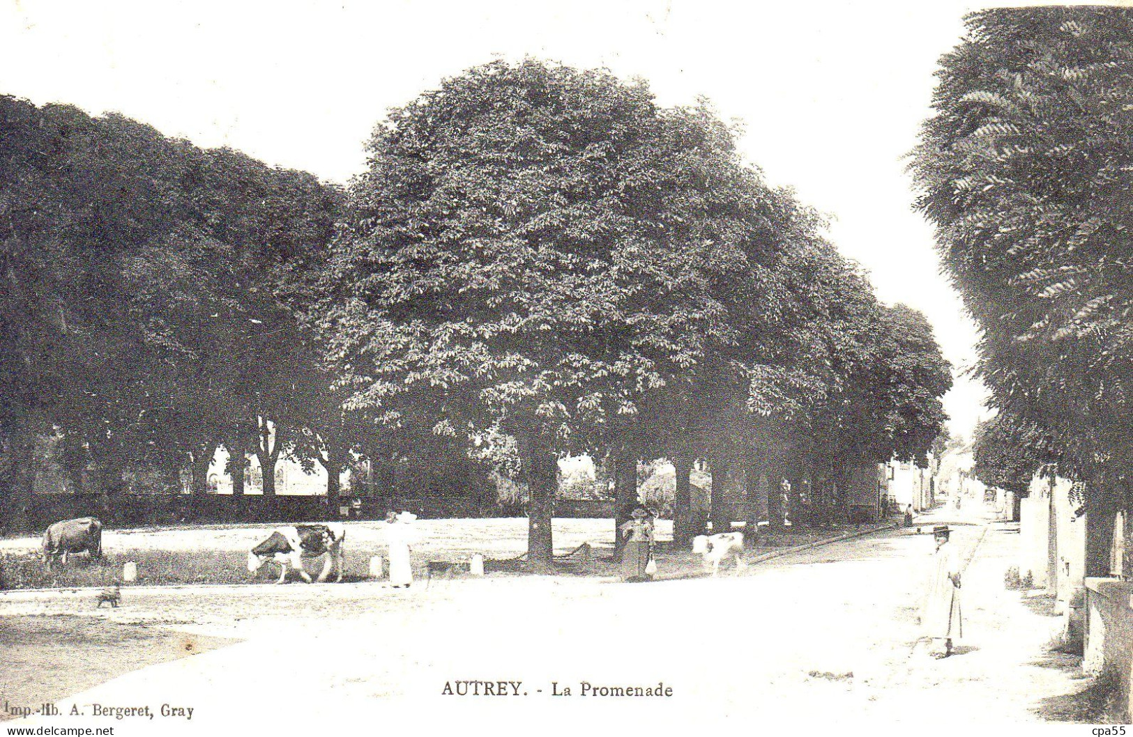 AUTREY  -  La Promenade - Autrey-lès-Gray