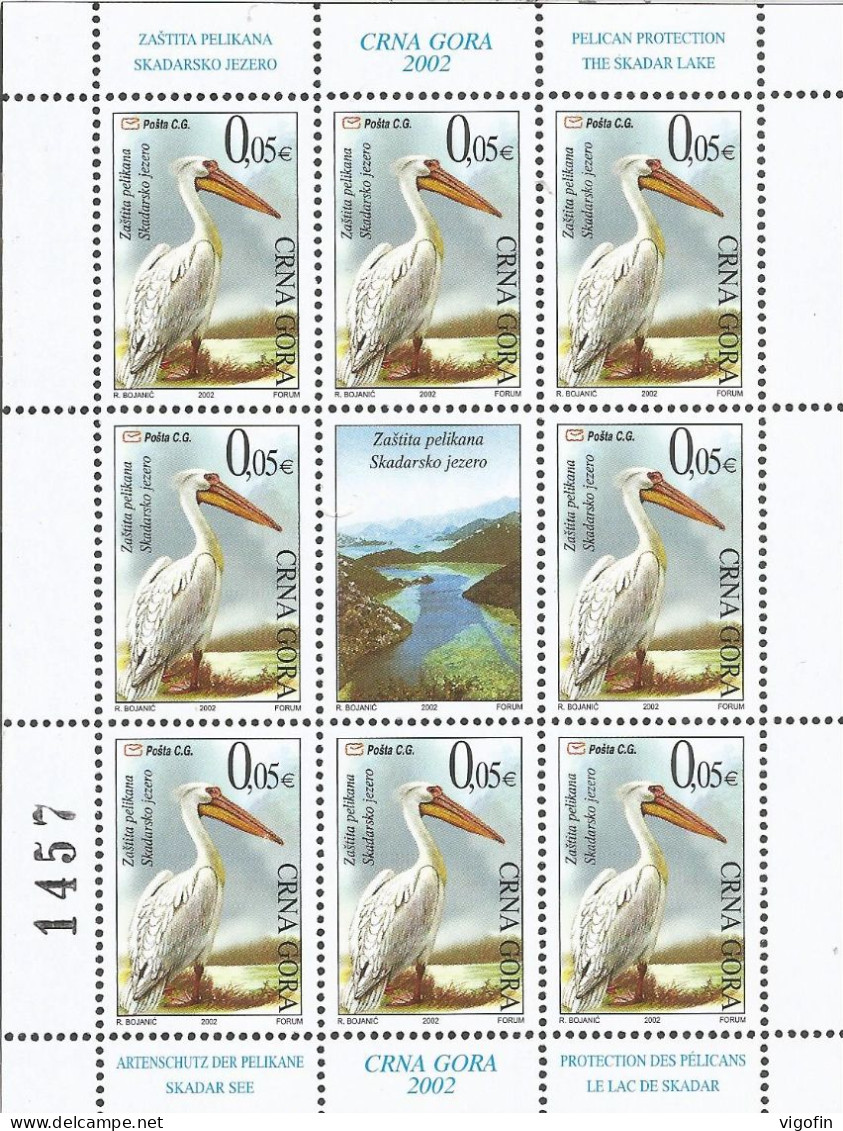 CG 2001-BIRDS PELICAN, CRNA GORA MONTENEGRO, MS. MNH - Pelícanos