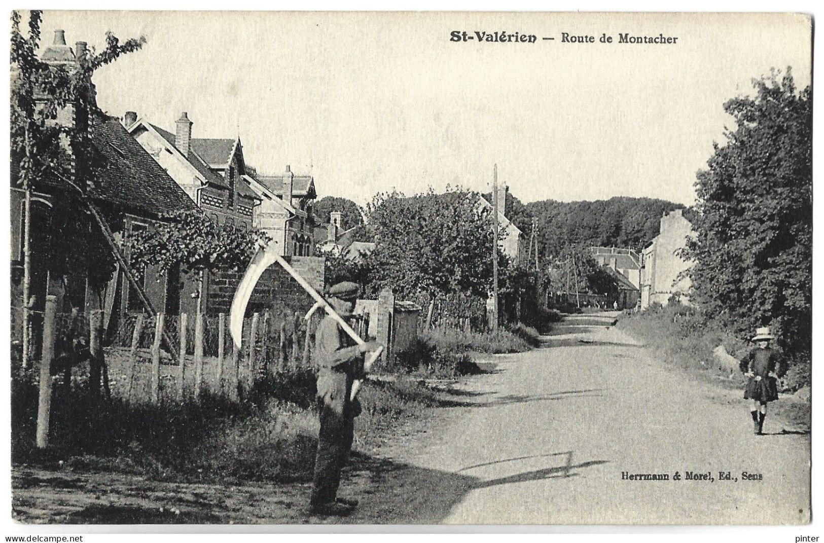 SAINT VALERIEN - Route De Montacher - Saint Valerien