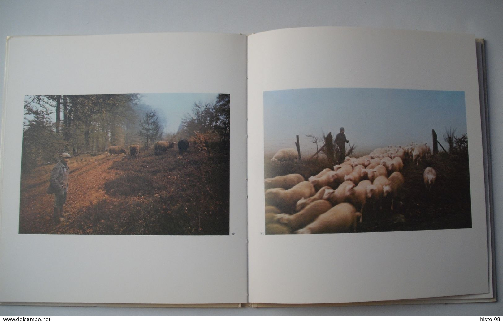 LIMOUSIN : EN LIMOUSIN : Rémi GRUBER .  PANAZÔ . 1980 .