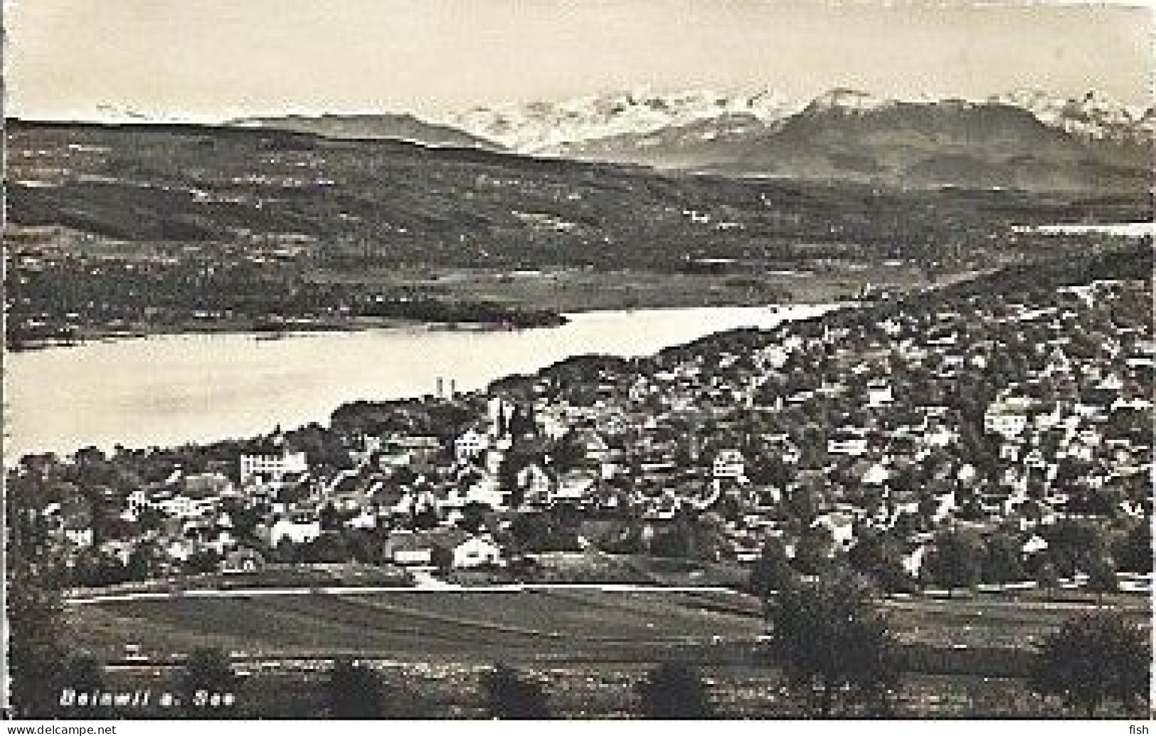 Switzerland  ** & Postal, Beinwill Am See, Youga Co. (620) - Beinwil Am See