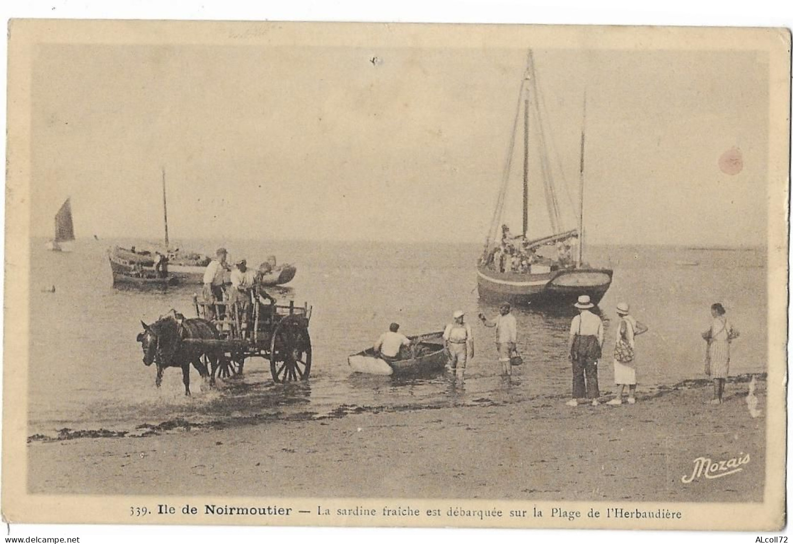 Ile De NOIRMOUTIER: La Sardine Fraîche Est Débarquée Sur La Plage De L'Herbaudière - 339 Nozais - Noirmoutier