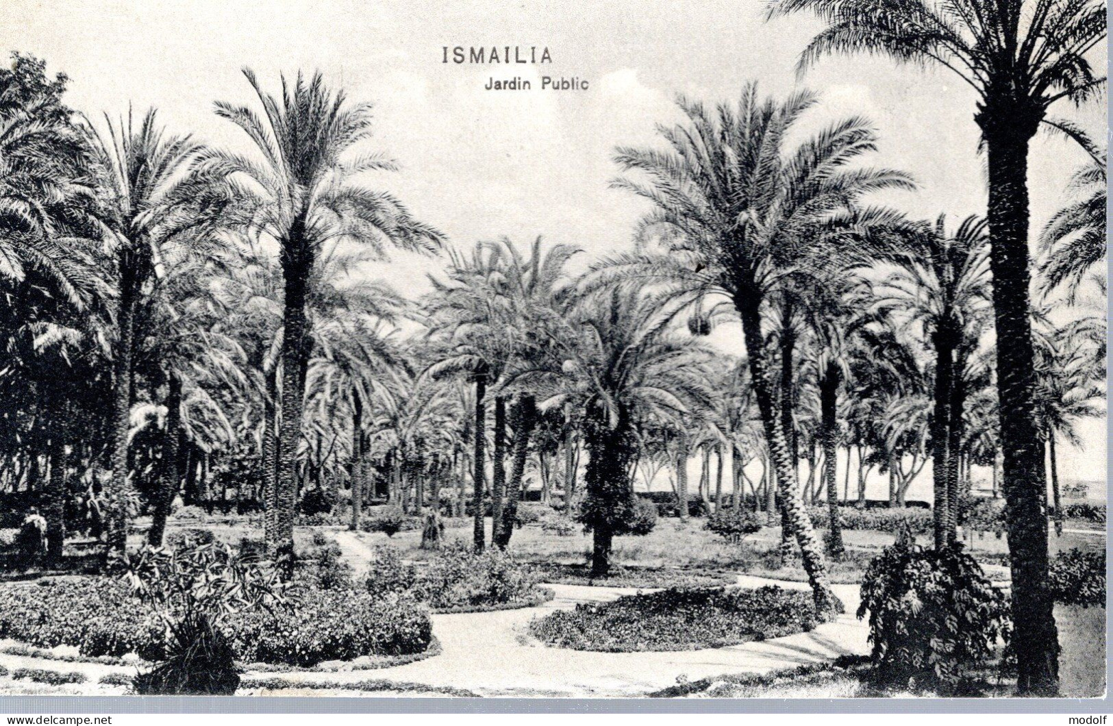 CPA - Egypte - Ismailia - Jardin Public - Ismaïlia