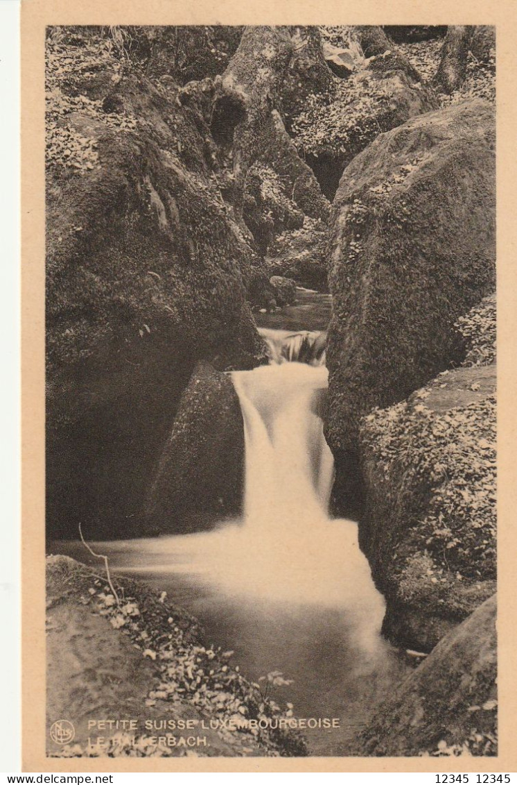 Petite Suisse Luxembourgeoise, Le Hallerbach - Müllerthal