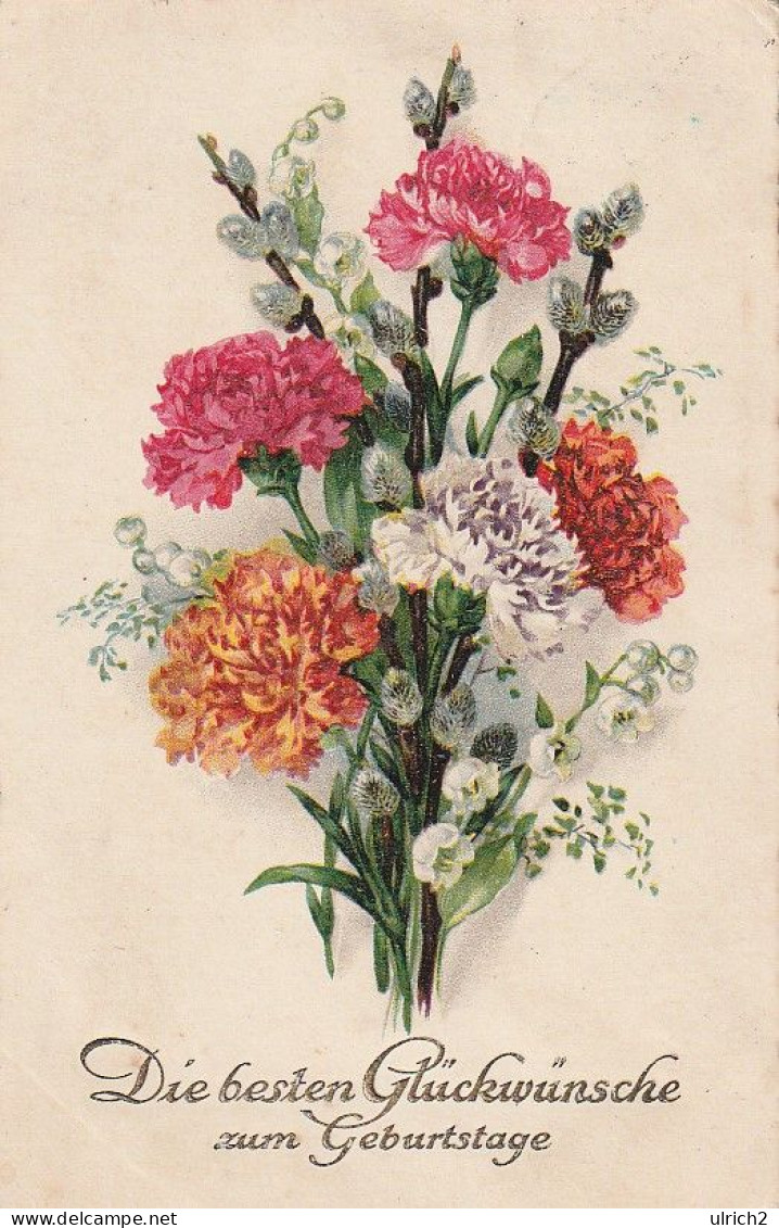 AK Glückwünsche Zum Geburtstage - Nelken Blumen - Künstlerkarte - 1928 (65450) - Geburt