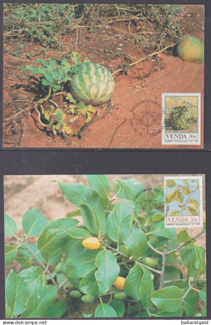 Venda 1985 Food Of The Veld Set 4 Maxi Cards - Venda