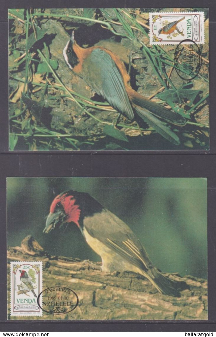 Venda 1985 Song Birds Set 4 Maxi Cards - Venda