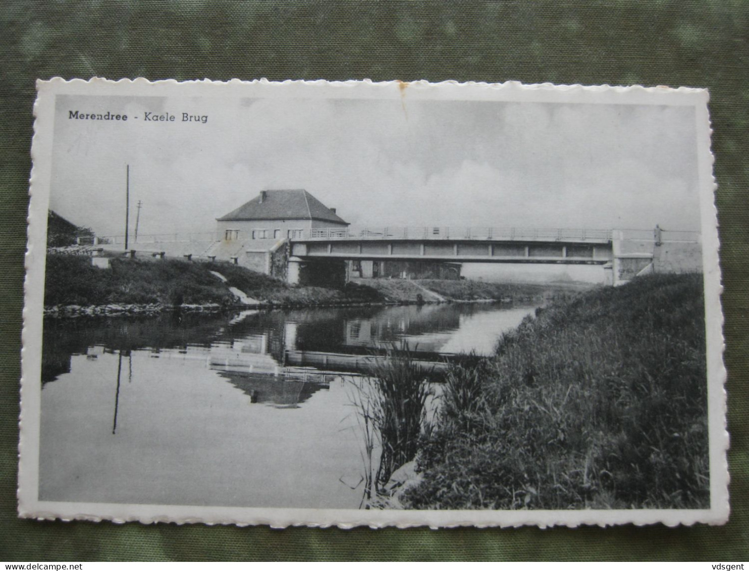 MERENDREE - KAELE BRUG - Deinze