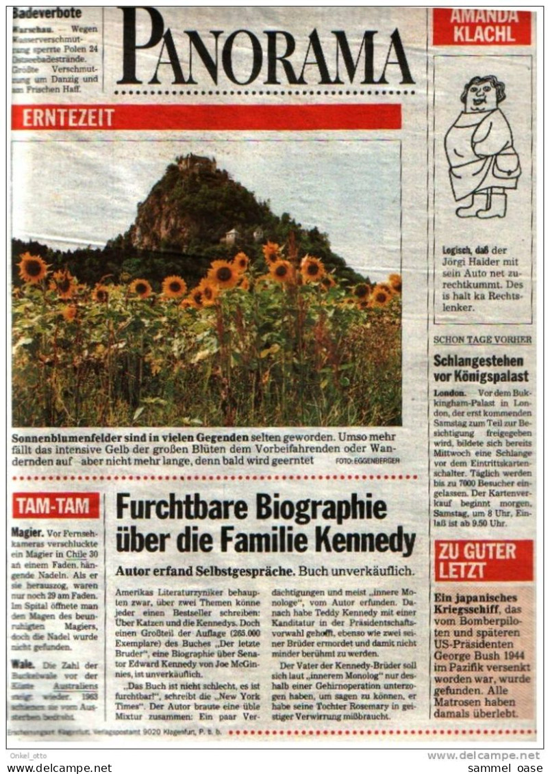 Original KLEINE ZEITUNG Kärnten Klagenfurt 6.8.1993 - Andere & Zonder Classificatie