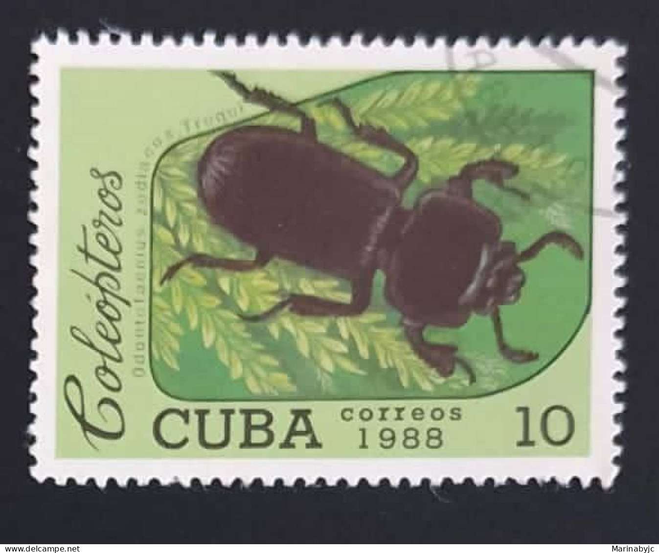 SD)1988 CUBA. BEETLE. FAUNA. USED - Collections, Lots & Series