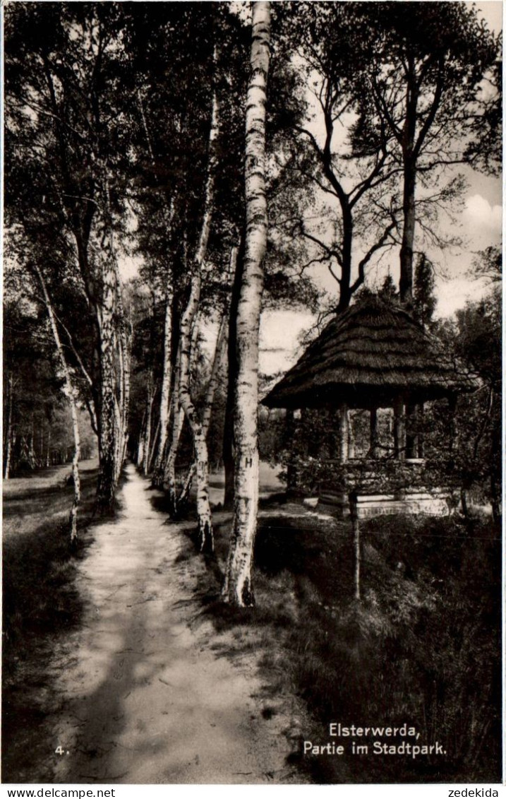 G5131 - Elsterwerda - Stadtpark - Franz Wulgk - TECO - Elsterwerda