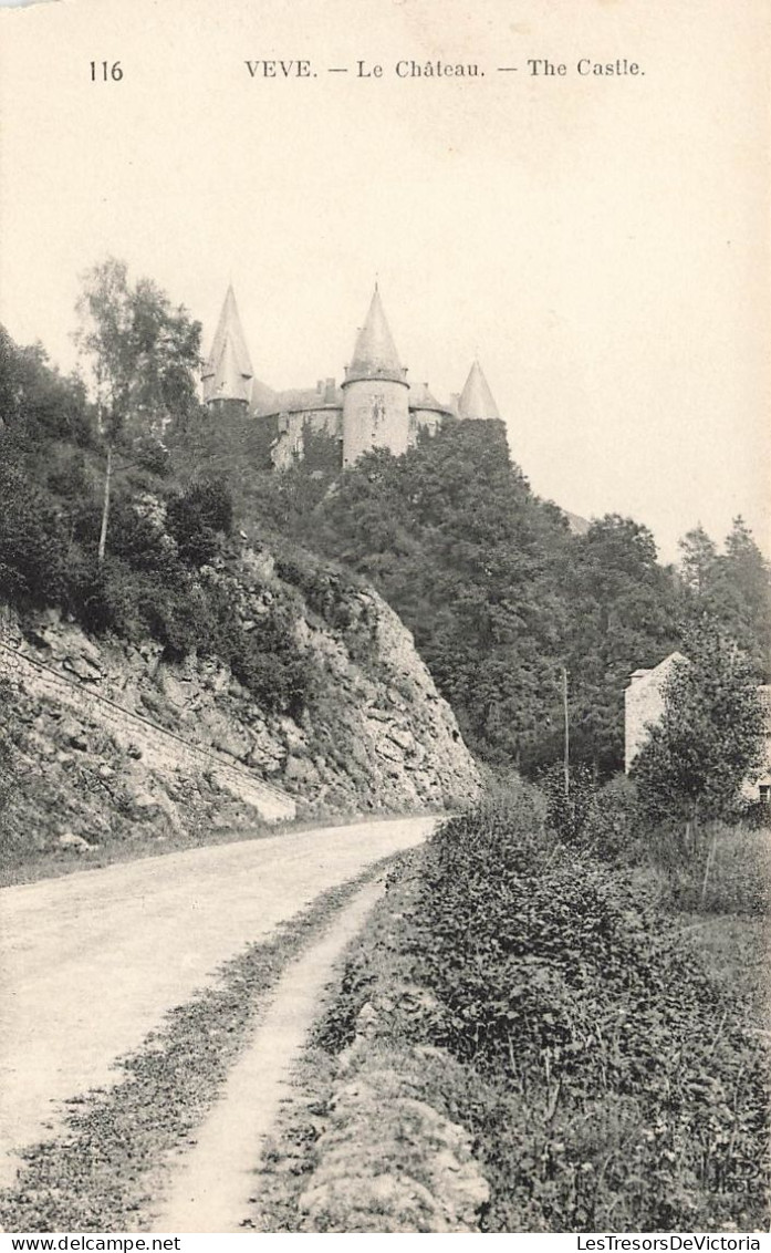 Belgique - Vevey - Le Château -  Carte Postale Ancienne - Houyet