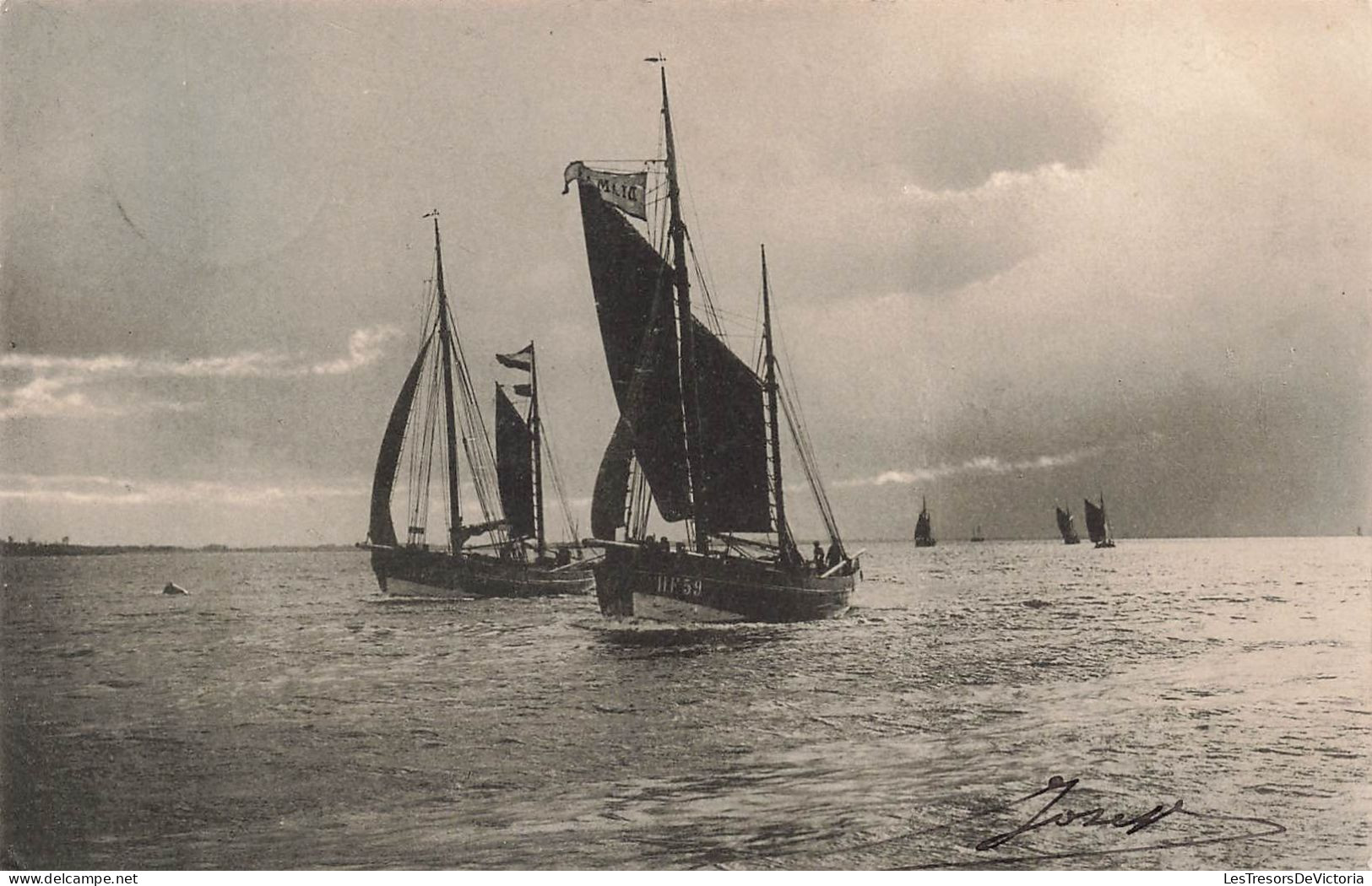 TRANSPORTS - Bateaux - Des Bateaux De Pêche Au Milieu De La Mer - Carte Postale Ancienne - Pesca