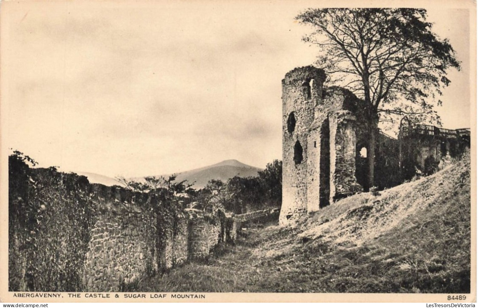 ROYAUME-UNI - Pays De Galles - Abergavenny - Le Château - Sugar Loaf Mountain -  Carte Postale Ancienne - Monmouthshire