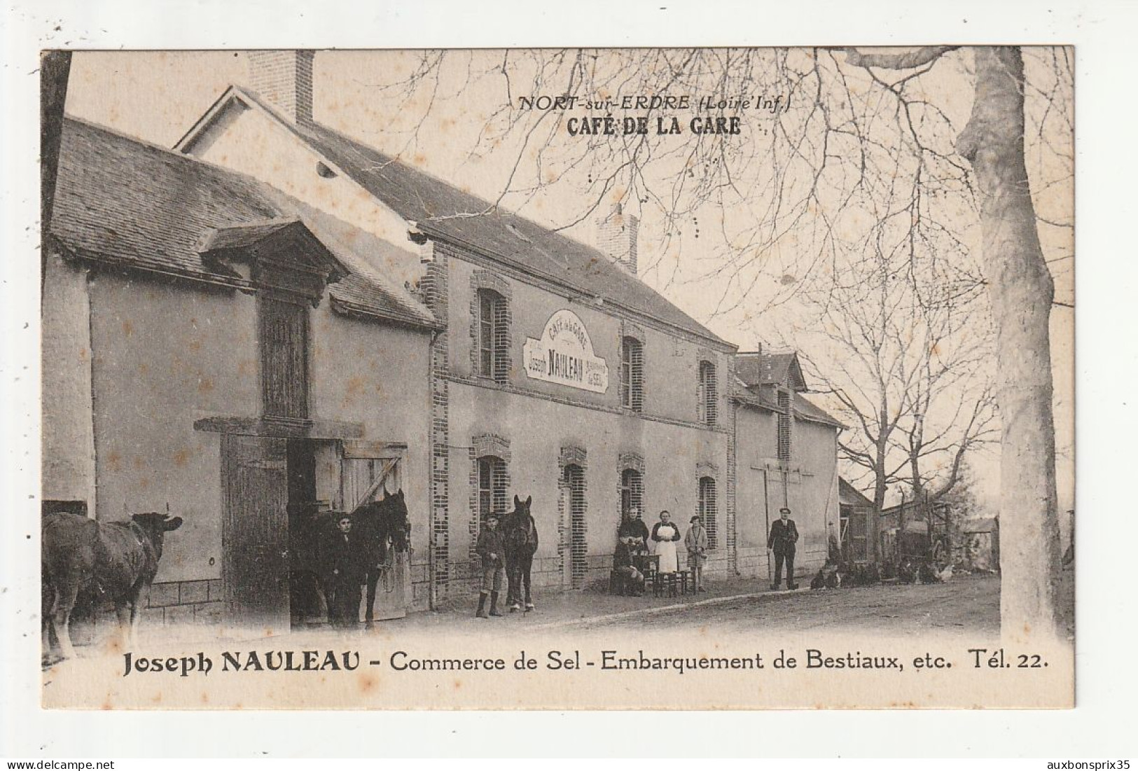NORT SUR ERDRE - CAFE DE LA GARE - JOSEPH NAULEAU - COMMERCE DE SEL -EMBARQUEMENT DE BESTIAUX ETC - 44 - Nort Sur Erdre