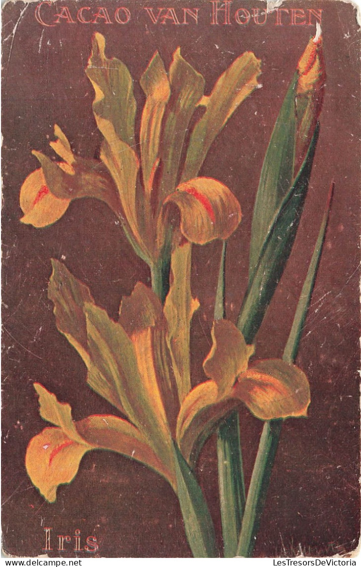 FLEURS  & PLANTES - ARBRES - Iris - Colorisé - Carte Postale  Ancienne - Blumen