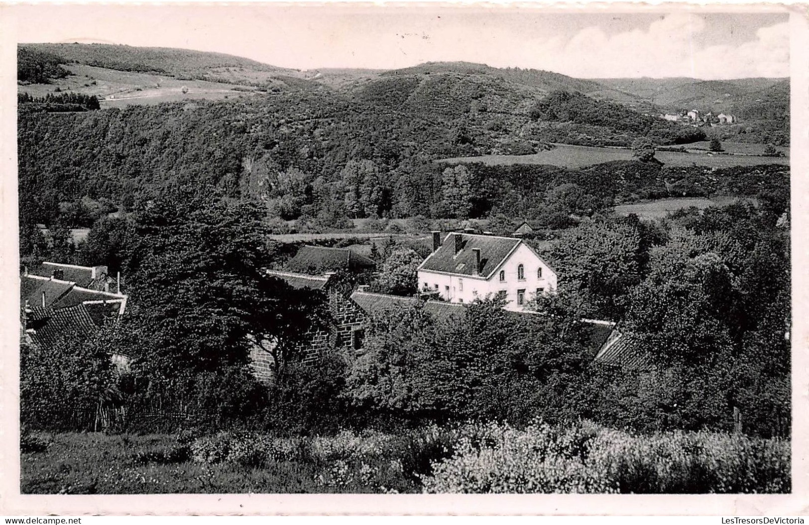 BELGIQUE - Philipeville - Olloy Sur Viroin - Panorama Sur La Vallée Dans Le Lointain ... - Carte Postale Ancienne - Philippeville