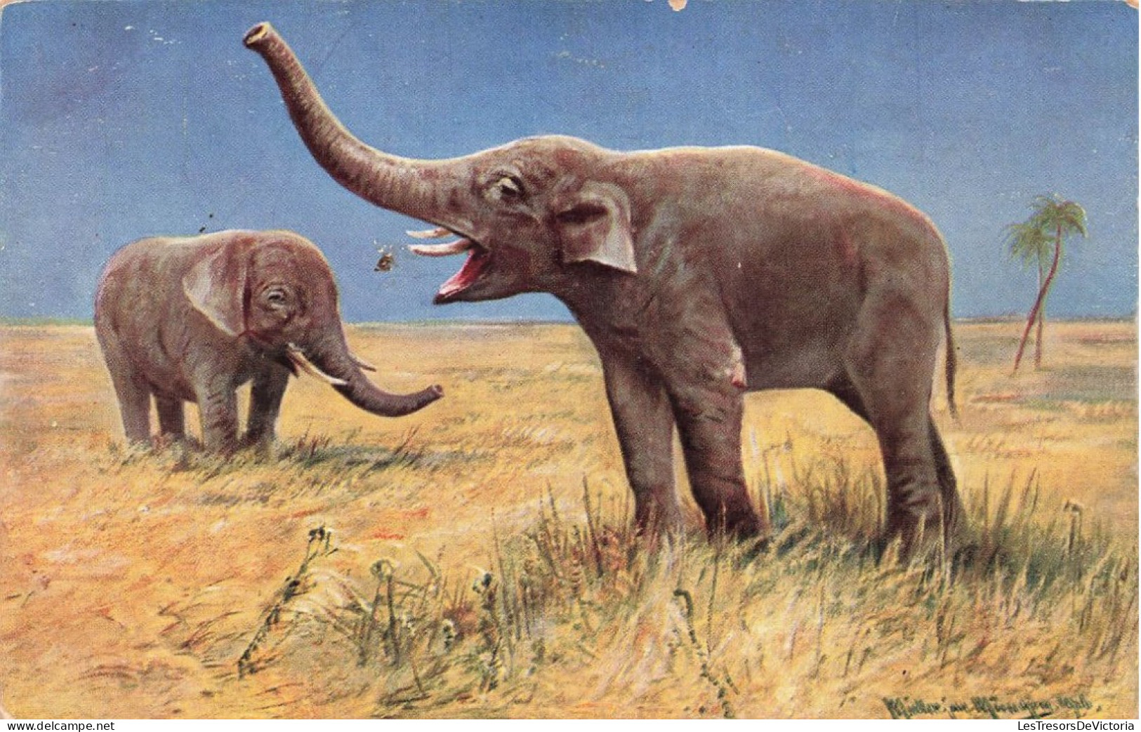 ANIMAUX & FAUNE - Éléphants - Colorisé - Carte Postale  Ancienne - Elefanten