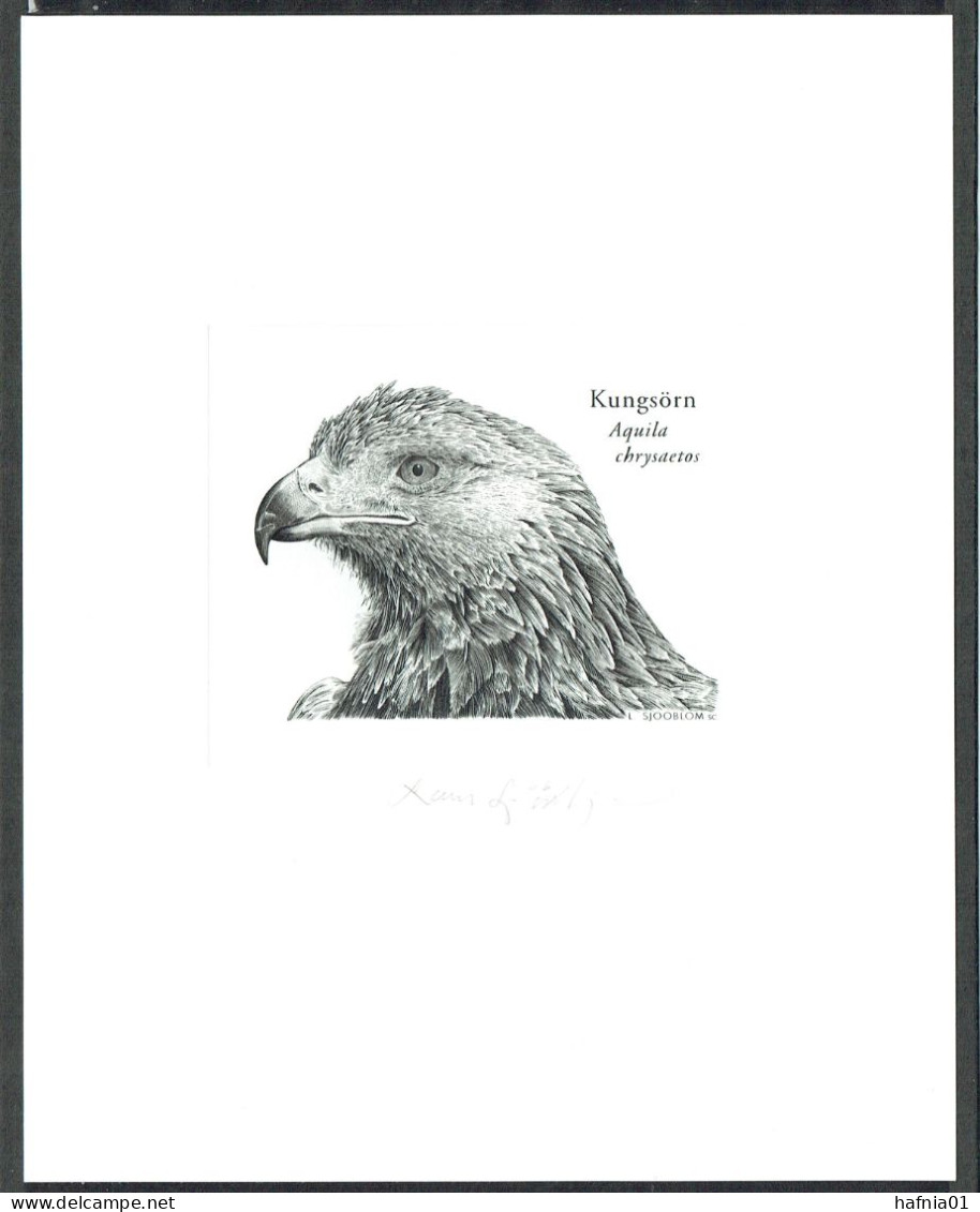 Lars Sjööblom. Sweden 2004. Golden Eagle.  Steel Engraving. LIMITED EDITION. Signed. RARE !! - Saggi E Prove