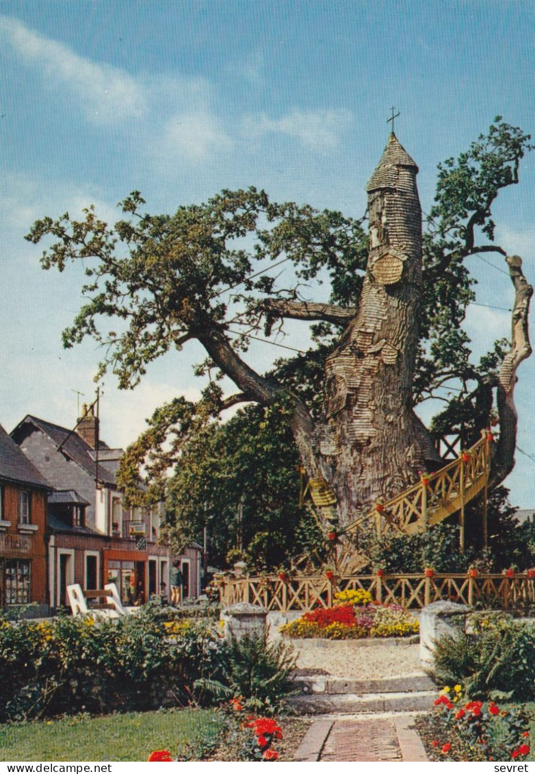 ALLOUVILLE-BELLEFOSSE. - Le Vieux Chêne (16 M. De Tour, 1300 Ans Environ), Renferme Deux Chapelles Superposées - Bäume