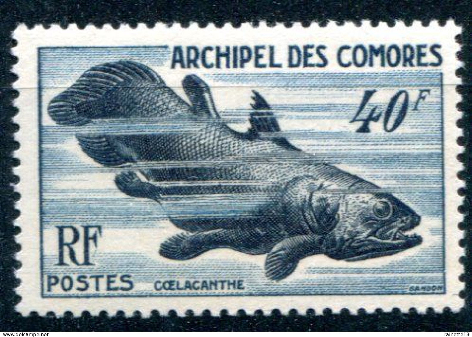 Archipel Des Comores      13 ** Faune Marine - Unused Stamps