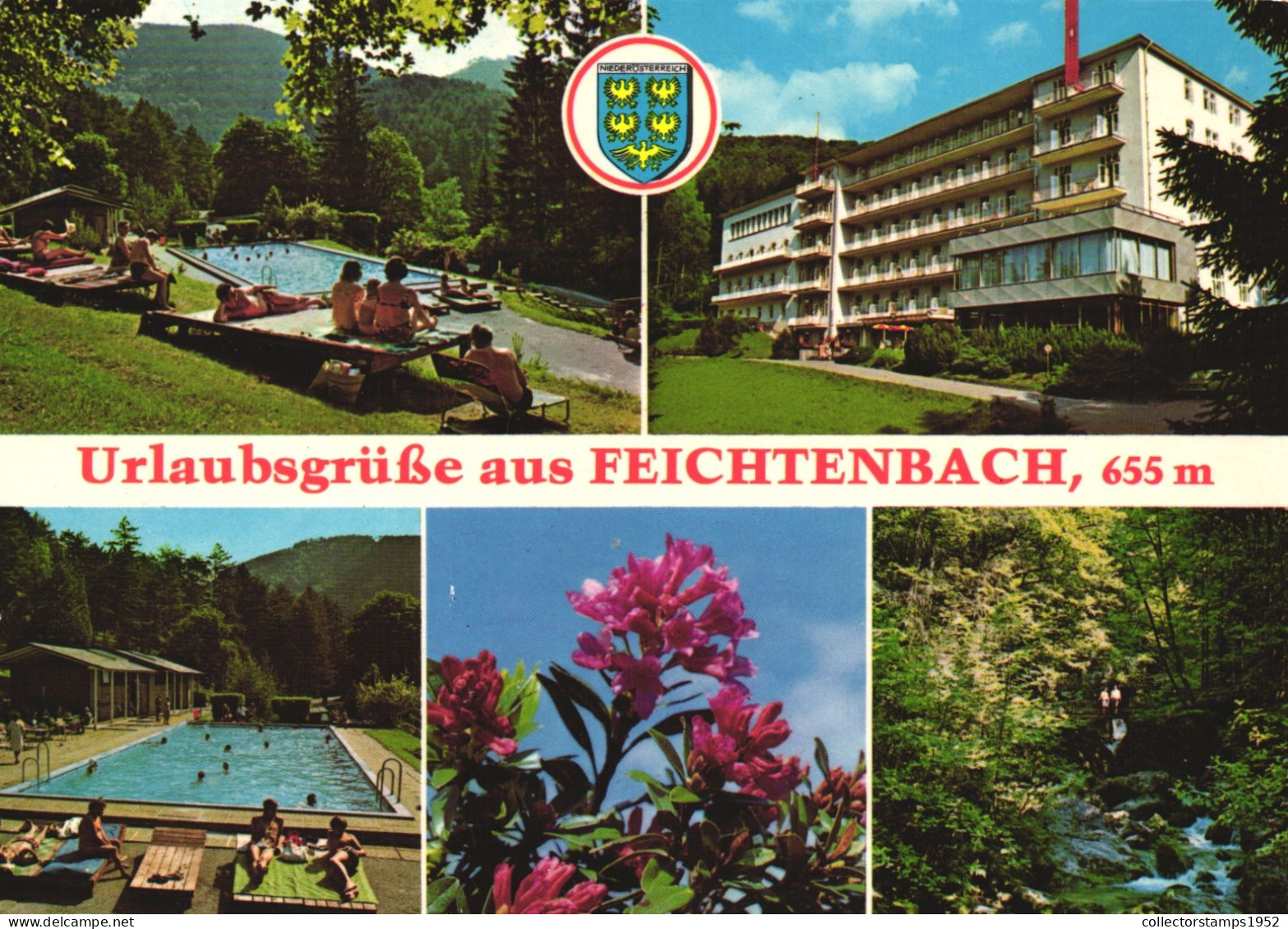 AUSTRIA, LOWER AUSTRIA, PERNITZ, FEICHTENBACH, FLOWER, FOREST, METAL MINING, RESORT - Pernitz