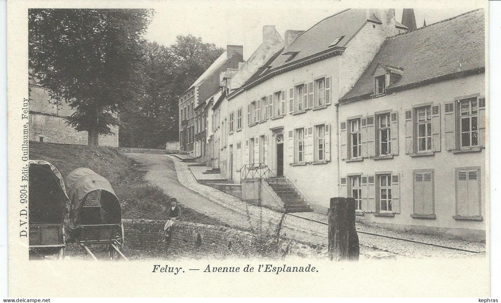 FELUY : Avenue De L'Esplanade - D.V.D.9304 - Cachet De La Poste 1904 - Seneffe