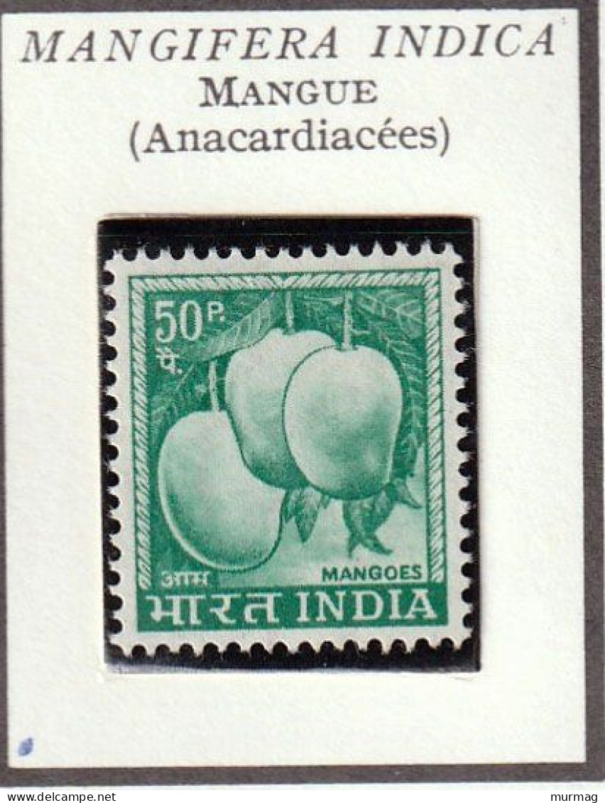 INDE - Fruits, Mangue - Y&T N° 228 - 1967 - MNH - Neufs