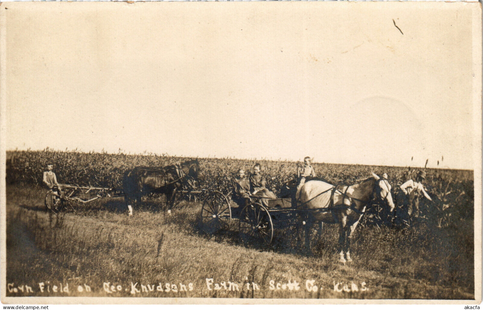 PC US, KS, SCOTT, CORN FIELD, FARM, Vintage REAL PHOTO Postcard (b49529) - Altri & Non Classificati