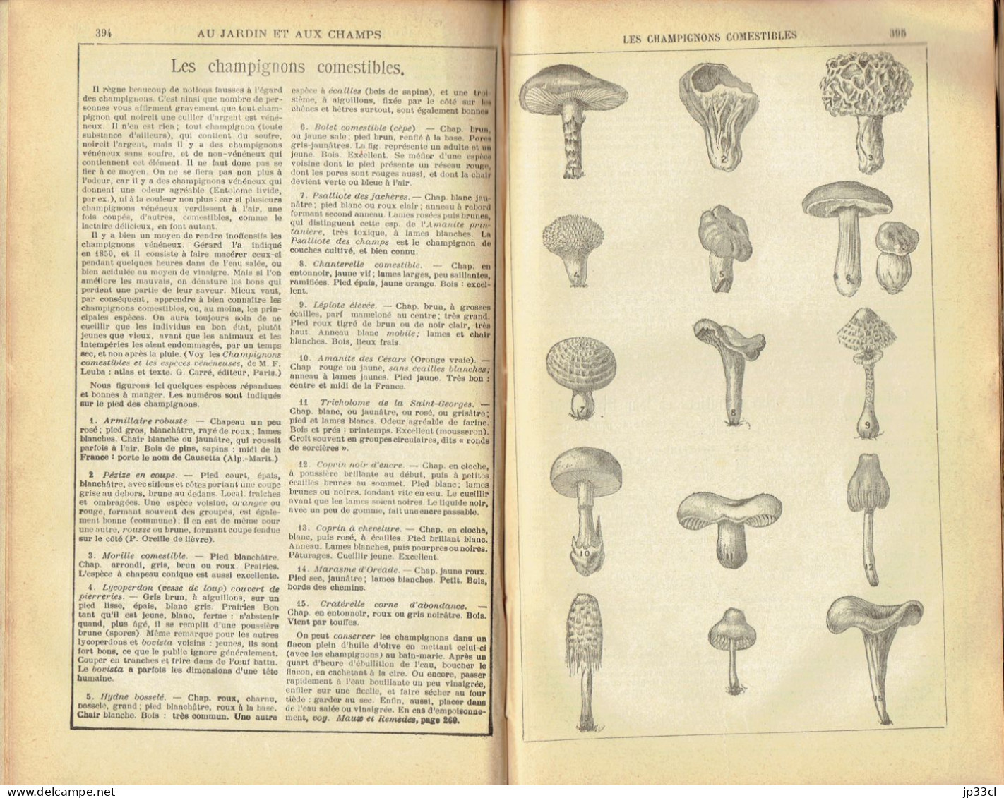 Le tout-savoir universel (Édition spéciale pour la Belgique) Édit. Dechenne, Bruxelles, vers 1897, 494 pages