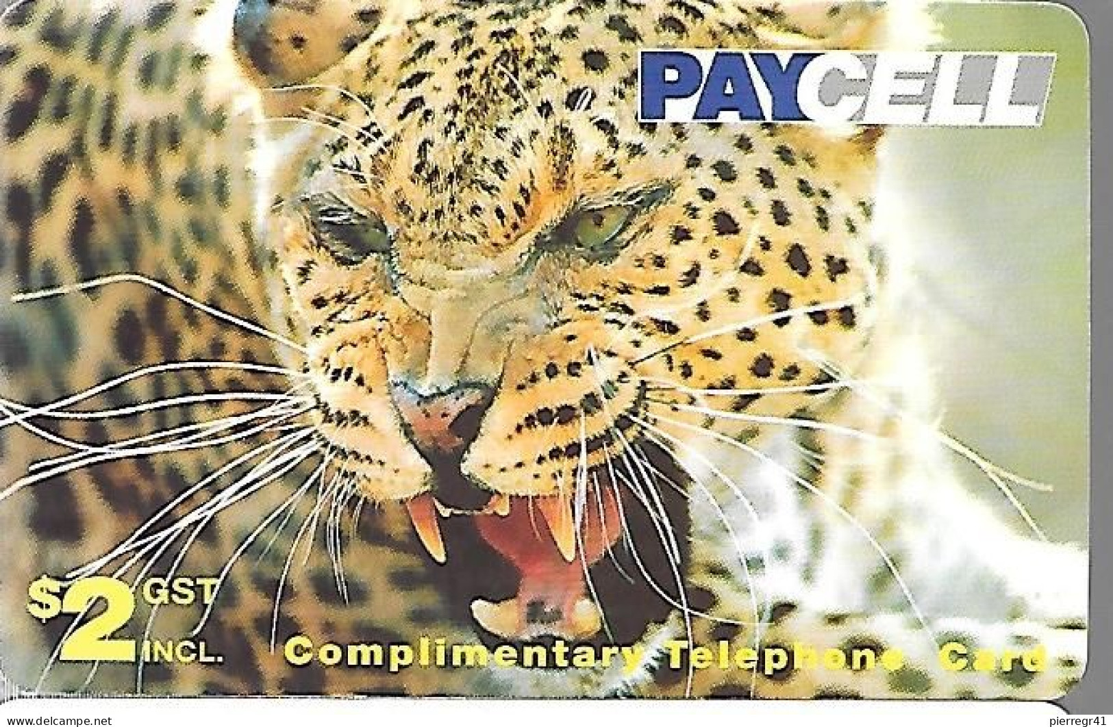 CARTE-PREPAYEE-FACTICE-TURC-PAYCELL-2-LEOPARD-Plastic FIN-TBE - Dschungel