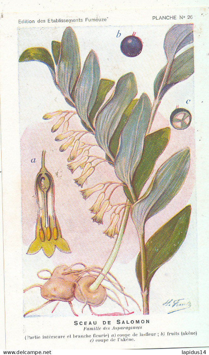 AX 25- C P A -LOT DE 6  -  SANTE PLANTES MEDICINALE ILLUSTRATEUR H.FRANTZ - Medicinal Plants