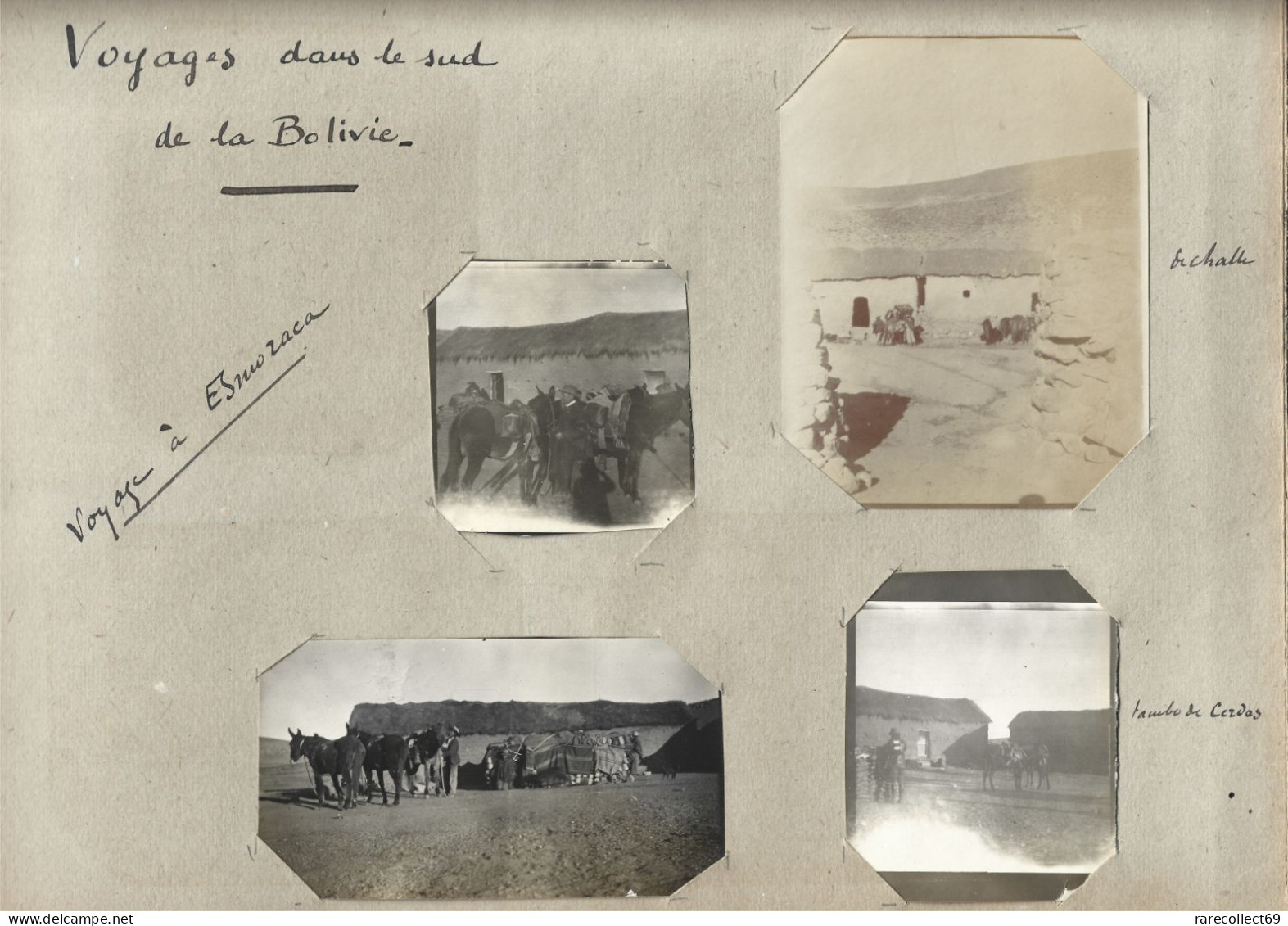BOLIVIE - TAMBO De CERDAS - ESMORACA  Département De POTOSI - 1911 -  4 Photos Originales - BOLIVIA - Amérique