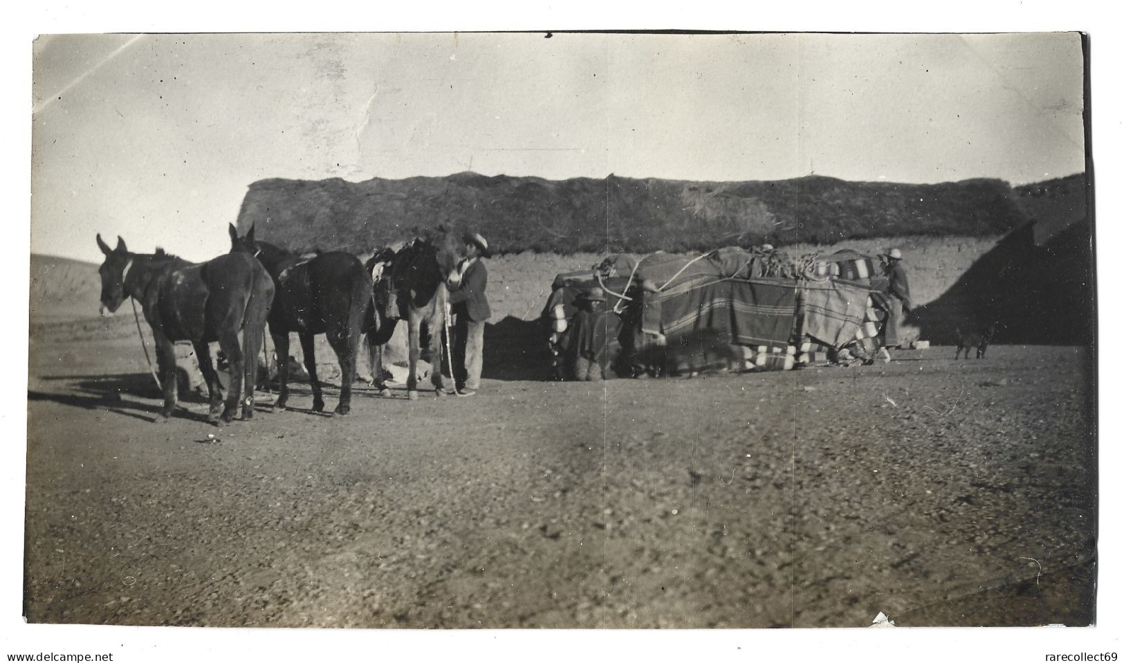 BOLIVIE - TAMBO De CERDAS - ESMORACA  Département De POTOSI - 1911 -  4 Photos Originales - BOLIVIA - America