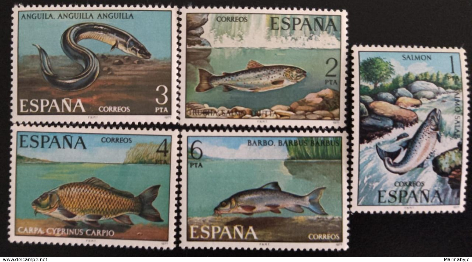 SD)SPAIN. MARINE ANIMALS. FISH. EEL. M NH - Colecciones