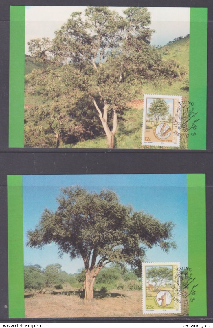 Bophuthatswana 1985 Conserve Trees Set 4 Maxi Cards - Bophuthatswana