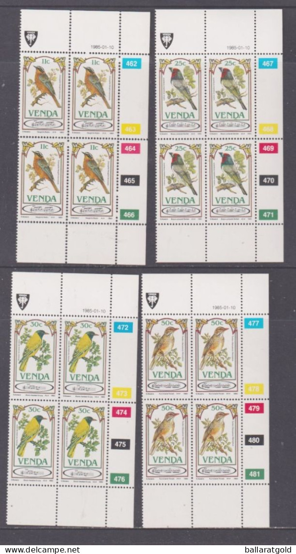 Venda 1985 Songbirds Plated Blocks 4 MNH - Venda