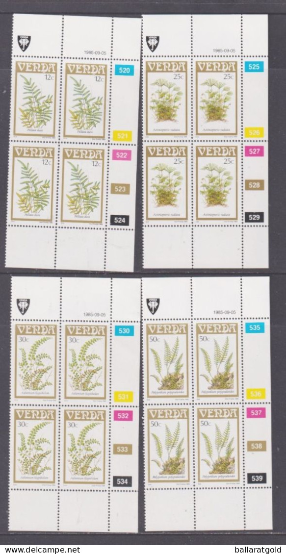 Venda 1985 Ferns Set 4 Plated Blocks 4 MNH - Venda