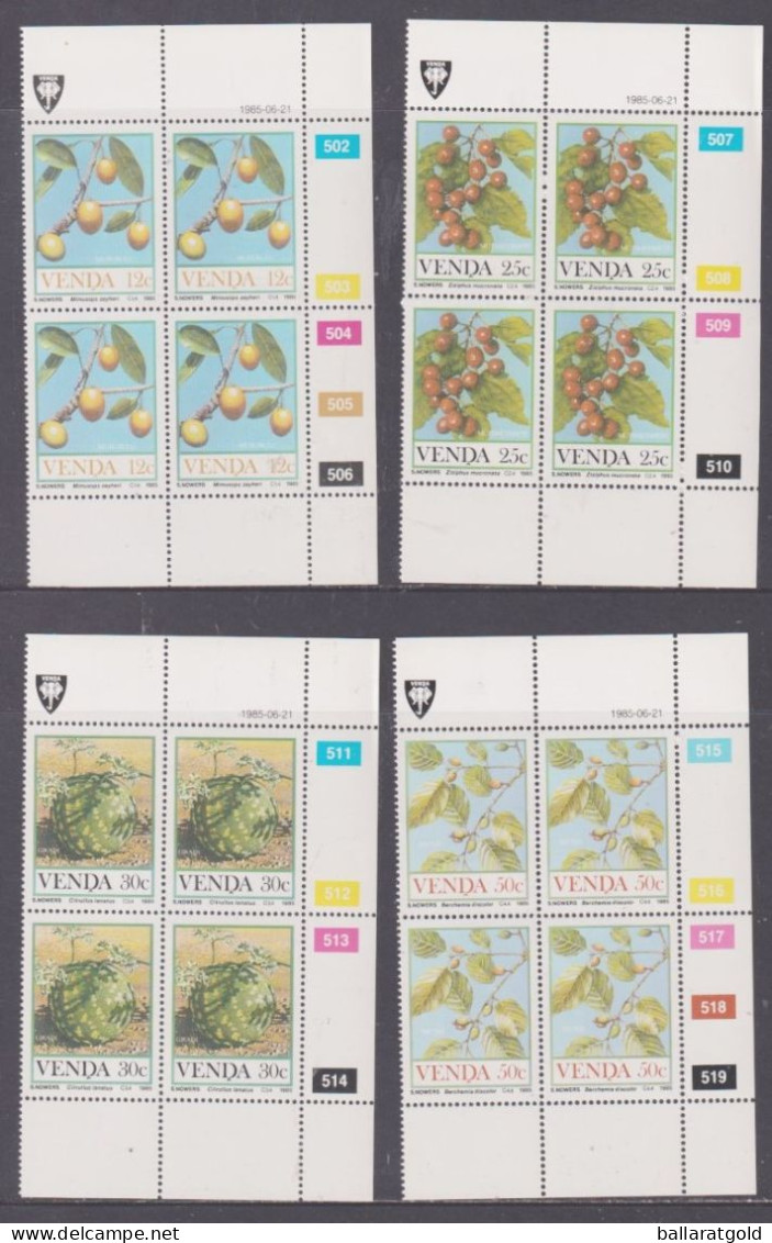 Venda 1985 Food Of The Veld Set Plated Blocks 4 MNH - Venda